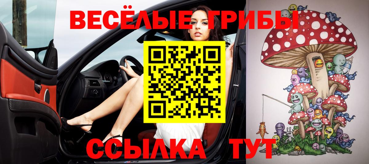 Галлюциногенные грибы прущие грибы  купить   Вход с VPN  Орехово-Зуево  Галлюциногенные грибы Magic Shrooms 
