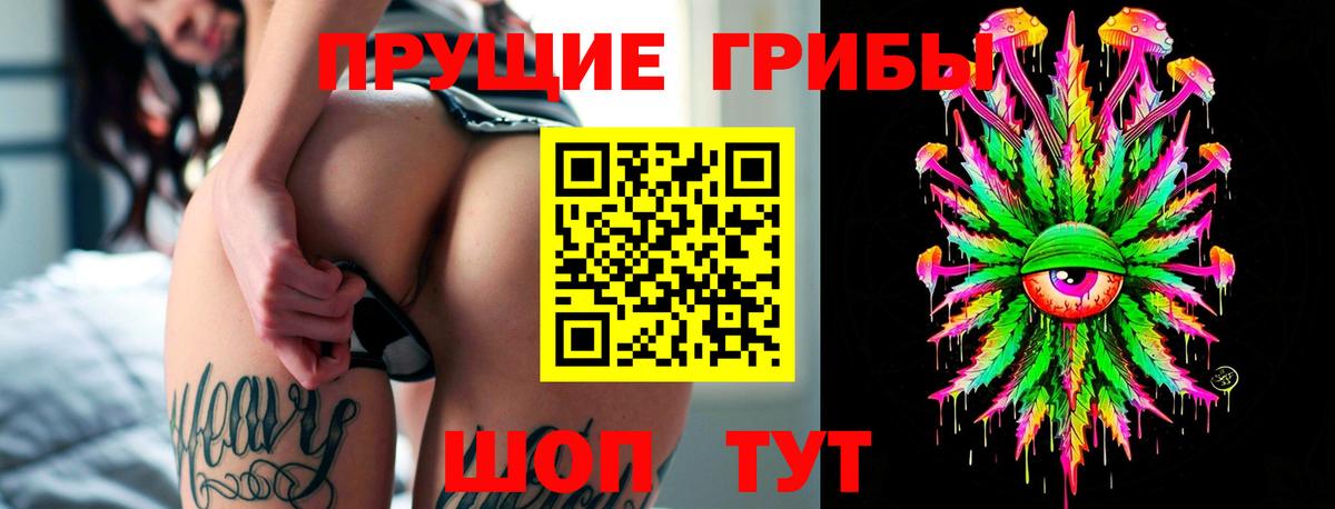 Галлюциногенные грибы прущие грибы Орехово-Зуево
